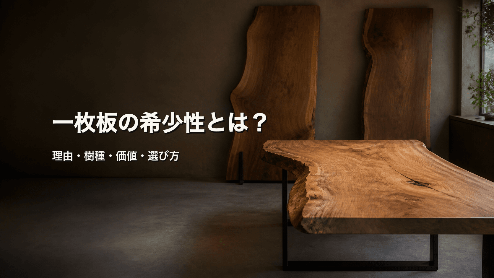 一枚板の希少性とは?価値を生む理由・希少樹種・選び方を初心者向けに解説